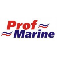 Лодки ProfMarine