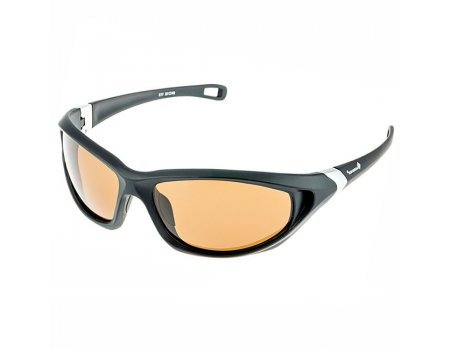 Очки поляризационные Tagrider N27-1 Brown в чехле
