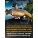 Бойлы Nick Baits POP-UP (Испанский мандарин), 55шт/10мм