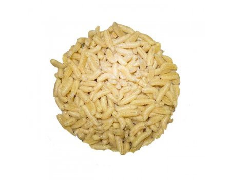 Опарыш мелкий в контейнере (пинка)