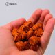 Пеллетс Nick Baits Gold Pellets Fishfruits (Королевская слива) 14мм, 1кг