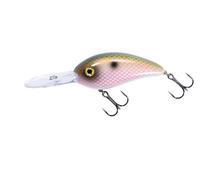 Воблер Bomber Fat Free Shad 76F, цвет 519 Electric Shad