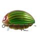 Воблер Salmo Bass Bug F 05.5, цвет GBG