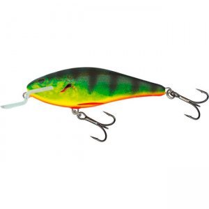 Воблер Salmo Executor 70F-SR, цвет RHP