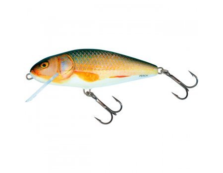 Воблер плавающий Salmo Perch 120FL, цвет RER