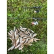 Спиннинг CF (Crazy Fish) Nano One Carbon NSRC612XULS 1.85м, 0.3-2.5гр