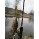 Спиннинг Salmo Elite Microjig 10, 2.0м, 2-10гр