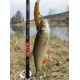 Спиннинг Salmo Elite Microjig 10, 2.0м, 2-10гр