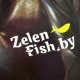 Сумка для садка ZelenFish Feeder Bag ПВХ, 60х10х50см
