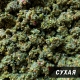 Прикормка зимняя Vabik Ice Roach Hemp "Плотва Конопля" (зеленая), 0.75кг