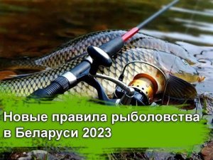 Новые правила рыболовства в Беларуси 2023