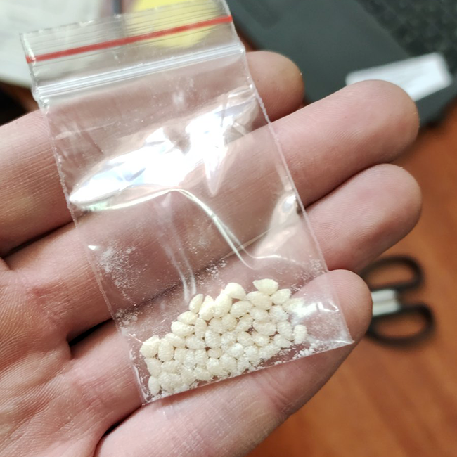 Личинки репейной моли (репейник)