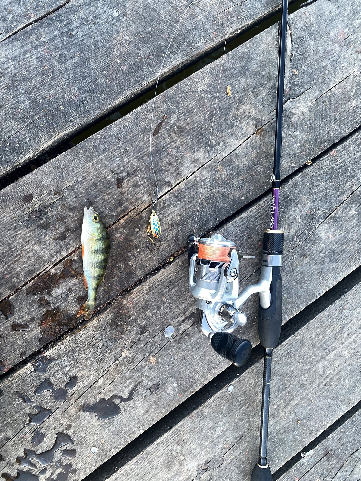 Спиннинг Crazy Fish Ebisu II Violet SV 602SUL Nano Jig 1.83м, 0.5-3гр